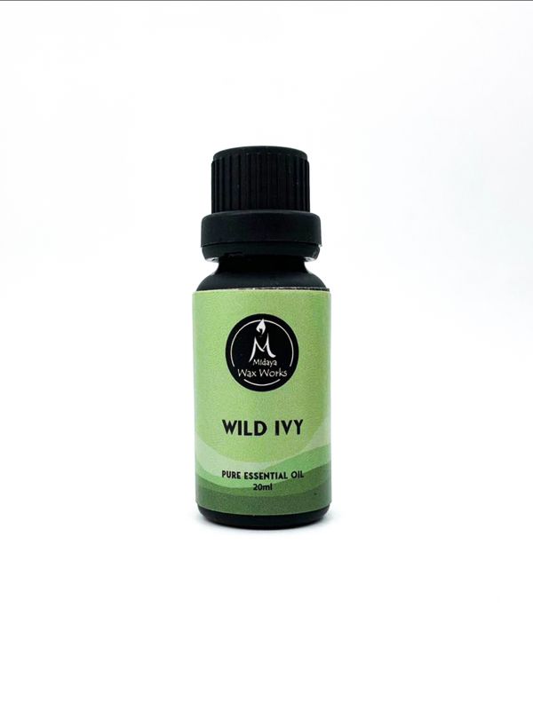Wild Ivy Essential Oil 20ml